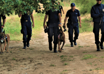 Προσαγωγή Βρετανού δημοσιογράφου στον Έβρο
