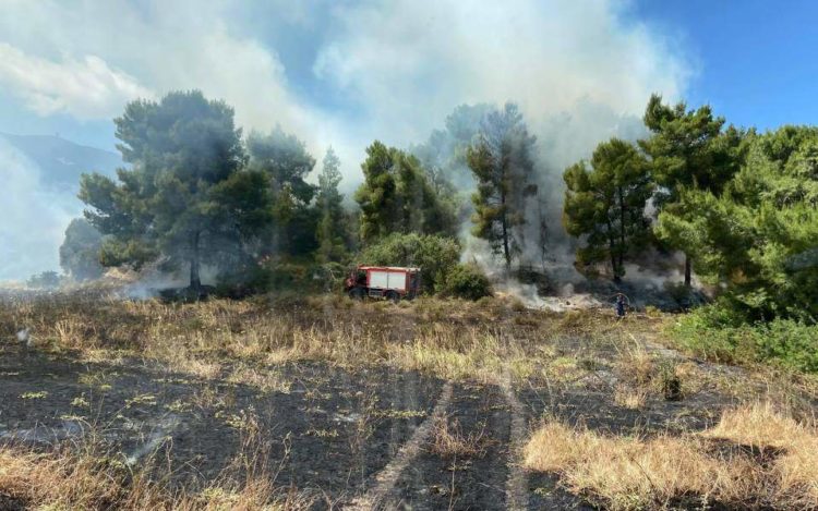 Μέγαρα – Μεγάλη φωτιά σε δασική έκταση