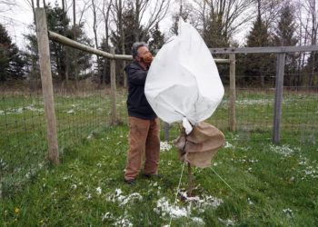 ΗΠΑ: Χειμώνας μέσα στον Μάιο – Χιόνισε στη Νέα Υόρκη