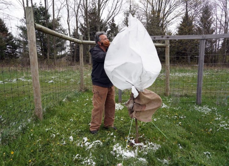 ΗΠΑ: Χειμώνας μέσα στον Μάιο – Χιόνισε στη Νέα Υόρκη
