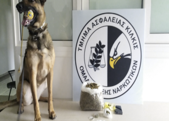 Θεσσαλονίκη: Συλλήψεις για ναρκωτικά με τη βοήθεια της «Minnie»