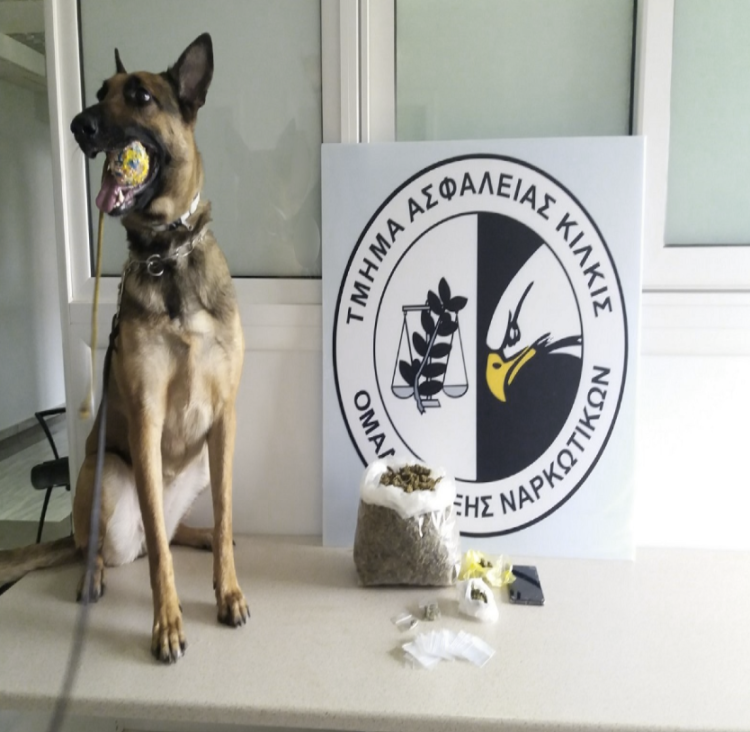 Θεσσαλονίκη: Συλλήψεις για ναρκωτικά με τη βοήθεια της «Minnie»