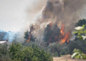 Μεγάλες φωτιές σε Ηλεία και Κεφαλονιά – Νέα φωτιά στην Ερμιονίδα