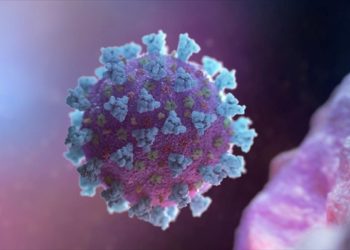 Έρευνα Χάρβαρντ: Ο κορονοϊός μπορεί να μεταδιδόταν στην Κίνα από τον Αύγουστο!