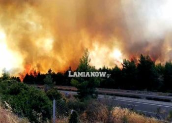 Φθιώτιδα: Φωτιά στο Μαρτίνο – Μεγάλη κινητοποίηση της πυροσβεστικής