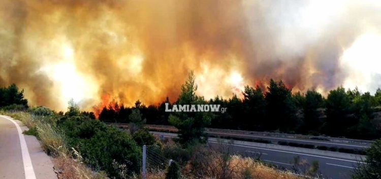 Φθιώτιδα: Φωτιά στο Μαρτίνο – Μεγάλη κινητοποίηση της πυροσβεστικής