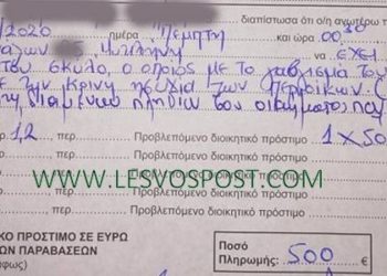 Μυτιλήνη: Πρόστιμο 500 ευρώ για το γάβγισμα του σκύλου!