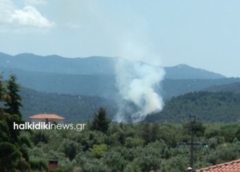 Χαλκιδική: Ξέσπασε πυρκαγιά σε δασική περιοχή στη Σιθωνία