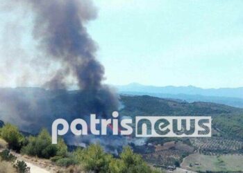 Πύργο Ηλείας: Φωτιά τώρα σε δασική έκταση