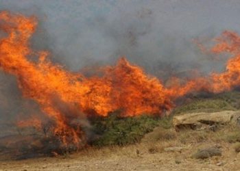 Πυρκαγιά στις Κεχριές Κορινθίας