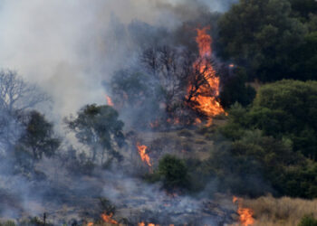Υπό μερικό έλεγχο η φωτιά στην Κεφαλονιά
