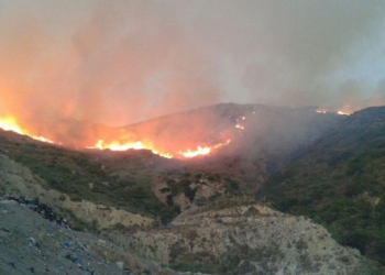 Ηλεία: Οριοθετήθηκε η φωτιά
