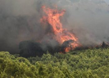 Πυρκαγιά στην Οιχαλία Μεσσηνίας