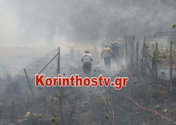 Μεγάλη φωτιά τώρα στις Κεχριές Κορινθίας: Καίει κοντά στο στρατόπεδο, όπου βρίσκονται αποθήκες πυρομαχικών – Εκκενώθηκαν οικισμοί και κατασκήνωση