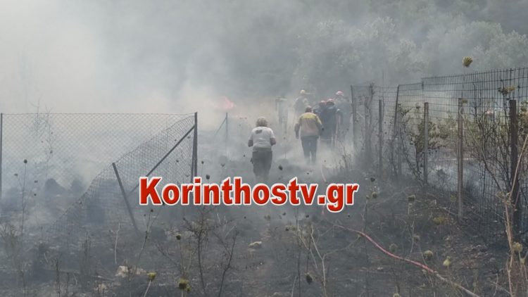 Μεγάλη φωτιά τώρα στις Κεχριές Κορινθίας: Καίει κοντά στο στρατόπεδο, όπου βρίσκονται αποθήκες πυρομαχικών – Εκκενώθηκαν οικισμοί και κατασκήνωση