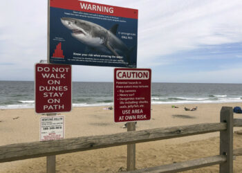 ΗΠΑ: Φονική επίθεση λευκού καρχαρία