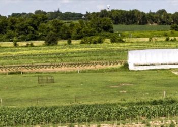 Βρετανία – Συναγερμός: Θετικοί στον κοροναϊό 70 εργάτες σε αγρόκτημα