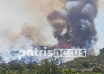 Ανεξέλεγκτη η φωτιά στην Ηλεία – Απειλούνται χωριά της Αρχαίας Ολυμπίας