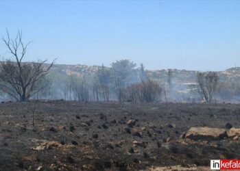 Κεφαλονιά: Σε ύφεση η πυρκαγιά που εκδηλώθηκε σε δασική έκταση