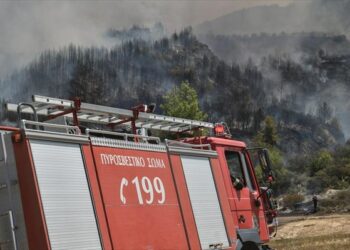 Ηλεία: Νέα πυρκαγιά σε δασική περιοχή