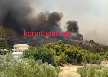 Φωτιά στις Κεχριές: Σπεύδει εκτάκτως ο Νίκος Χαρδαλιάς – Επί τόπου και ο αρχηγός της Πυροσβεστικής