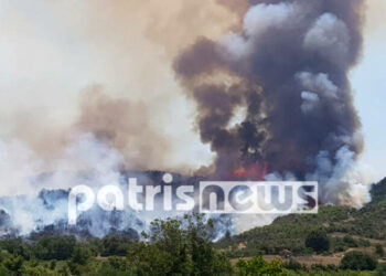 Φωτιά στο Γραμματικό: Ενισχύονται οι δυνάμεις της Πυροσβεστικής