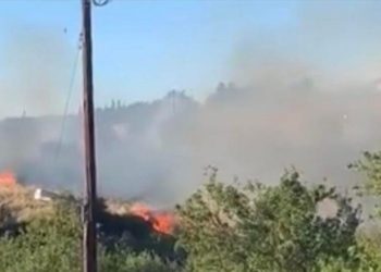 Θεσσαλονίκη: Φωτιά σε δασική έκταση στο Ωραιόκαστρο
