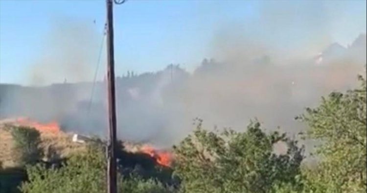 Θεσσαλονίκη: Φωτιά σε δασική έκταση στο Ωραιόκαστρο