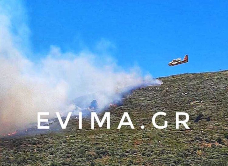 Φωτιά στην Κάρυστο: Υποψίες για εμπρησμό – Συνεχίζεται η κατάσβεση