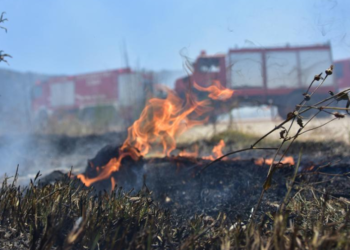 Κεφαλονιά: Μεγάλη πυρκαγιά σε εξέλιξη
