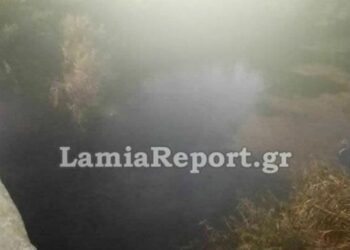 Ορχομενός: Εντοπίστηκε πτώμα γυναίκας σε αρδευτικό κανάλι