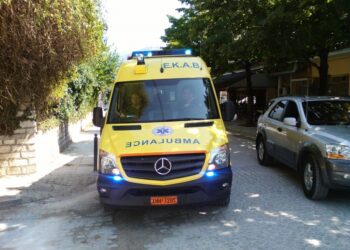 Ηράκλειο: Στο νοσοκομείο 35χρονος μετά από τσίμπημα σφήκας