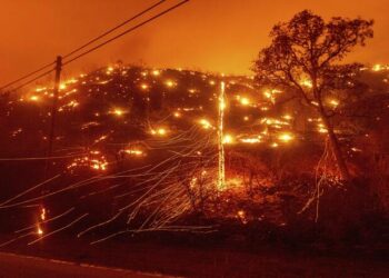 Σε κατάσταση έκτακτης ανάγκης η Καλιφόρνια – Μεγάλες πυρκαγιές και πρωτοφανής καύσωνας