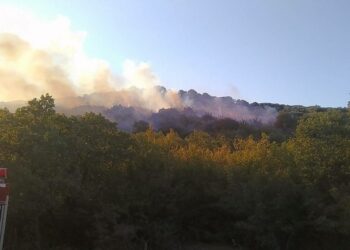 Αλεξανδρούπολη: Φωτιά σε δασική έκταση