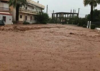 Εύβοια: Εντοπίστηκε νεκρή 38χρονη γυναίκα – 6 τα θύματα