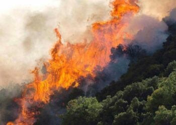 Ρόδος: Φωτιά σε δασική έκταση
