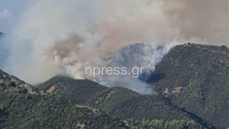 Πυρκαγιά σε δασική έκταση στο Παραδείσι Αγρινίου