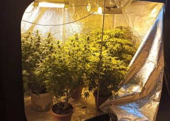Φλώρινα:  Καλλιεργούσαν υδροπονική κάνναβη στο σπίτι τους