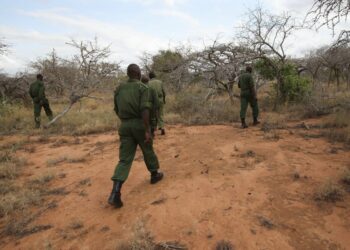 Νίγηρας: Ένοπλοι σκότωσαν 6 Γάλλους τουρίστες, τον οδηγό και τον ξεναγό τους