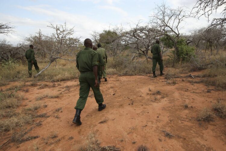 Νίγηρας: Ένοπλοι σκότωσαν 6 Γάλλους τουρίστες, τον οδηγό και τον ξεναγό τους