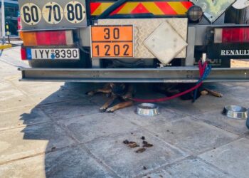 Απίστευτη κακοποίηση: δύο αλυσοδεμένες ψυχές κάτω από ένα βυτίο!