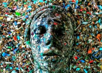 Μικροπλαστικά σε ανθρώπινα όργανα εντόπισαν Αμερικανοί επιστήμονες