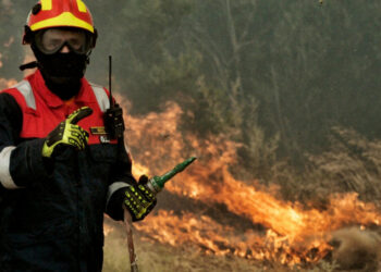 Άνδρος: Φωτιά σε δασική έκταση