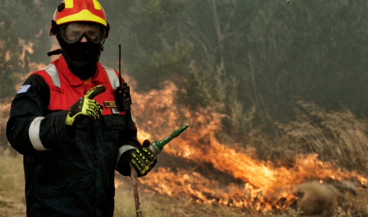 Άνδρος: Φωτιά σε δασική έκταση