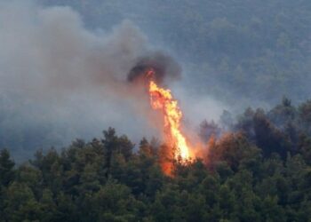Χανιά: Πυρκαγιά σε αγροτοδασική έκταση