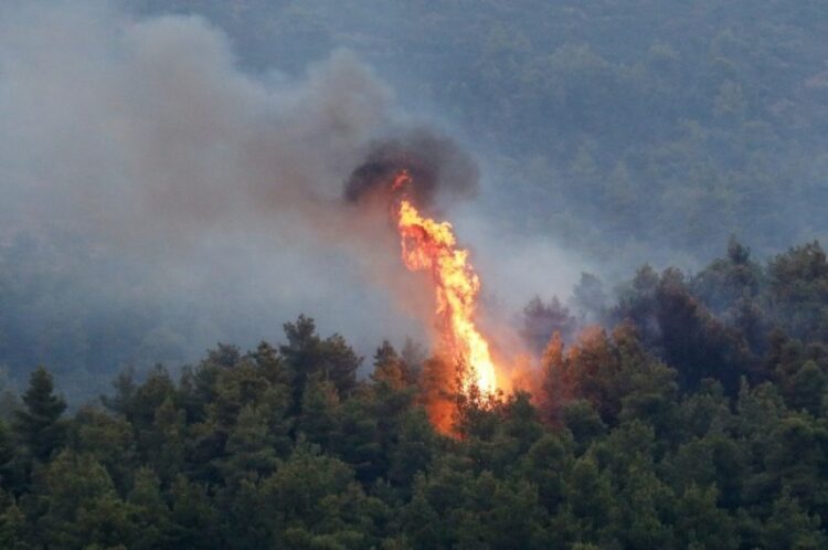 Χανιά: Πυρκαγιά σε αγροτοδασική έκταση