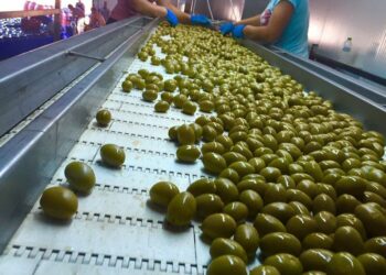 Χαλκιδική: Θετικοί στον κορονοϊό 50 εργαζόμενοι σε εργοστάσιο τροφίμων στην Ορμύλια