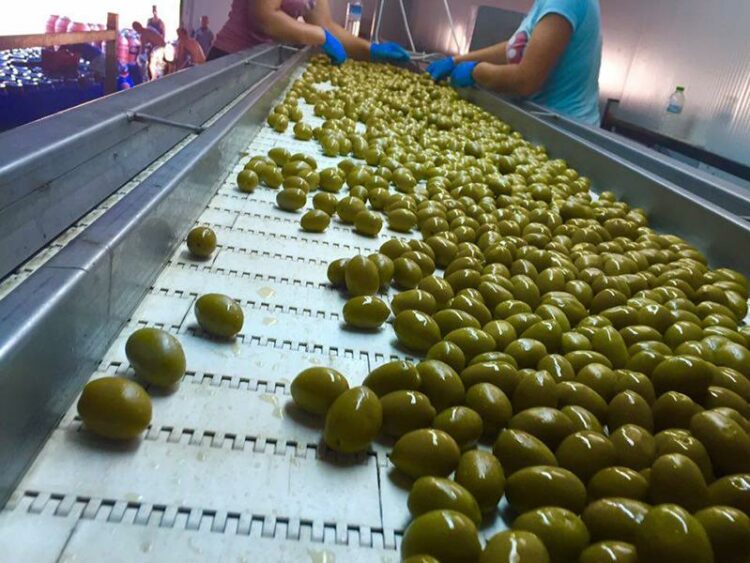 Χαλκιδική: Θετικοί στον κορονοϊό 50 εργαζόμενοι σε εργοστάσιο τροφίμων στην Ορμύλια