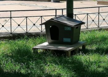 Δήμος Αθηναίων: Νέο πρόγραμμα για τα αδέσποτα