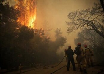 Μεσσηνία: Φωτιά σε δασική έκταση στην περιοχή Χανδρινός